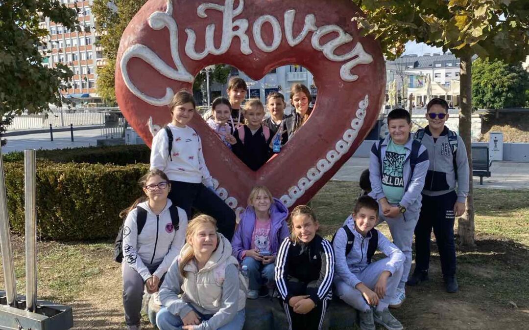 „Putovanje županijom”